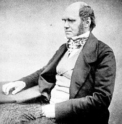 Porträt Charles Darwin